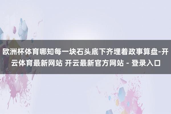 欧洲杯体育哪知每一块石头底下齐埋着政事算盘-开云体育最新网站 开云最新官方网站 - 登录入口