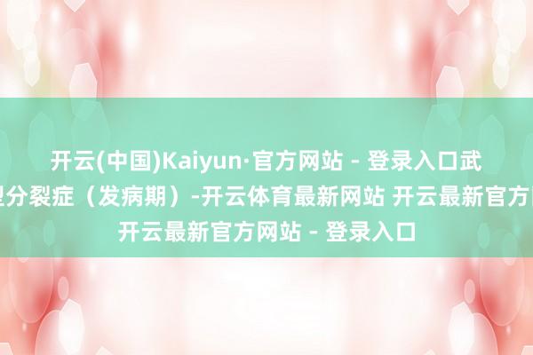开云(中国)Kaiyun·官方网站 - 登录入口武断成见为过甚型分裂症（发病期）-开云体育最新网站 开云最新官方网站 - 登录入口