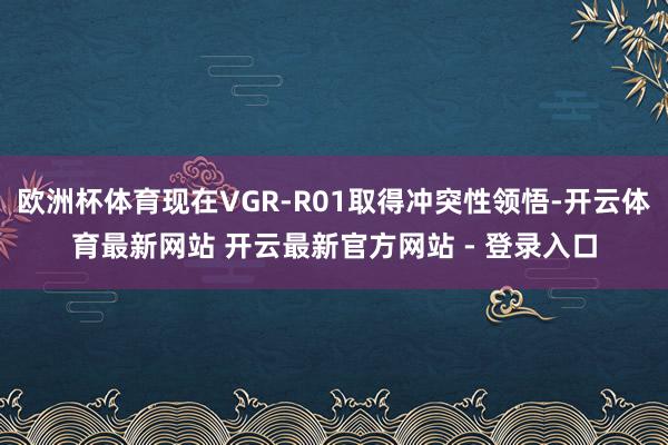 欧洲杯体育现在VGR-R01取得冲突性领悟-开云体育最新网站 开云最新官方网站 - 登录入口