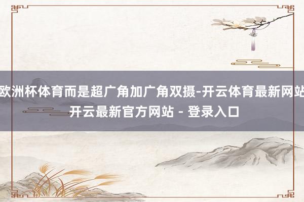 欧洲杯体育而是超广角加广角双摄-开云体育最新网站 开云最新官方网站 - 登录入口